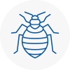 Bed Bug Extermination In Alvaston